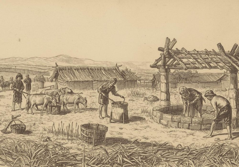 El pueblo de la tierra (Am Haaretz): Los olvidados de la historia